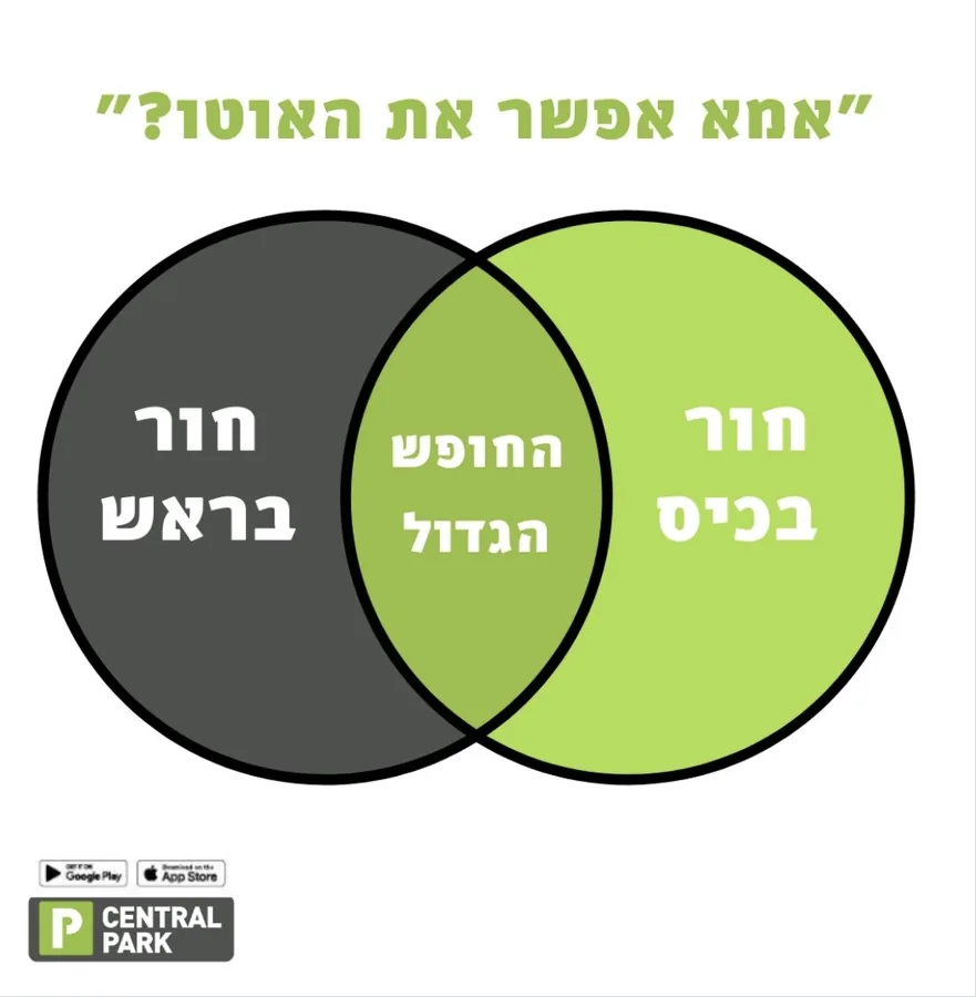 סנטרל פארק